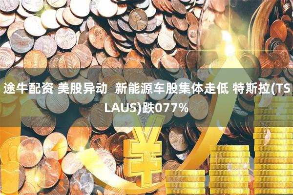 途牛配资 美股异动  新能源车股集体走低 特斯拉(TSLAUS)跌077%