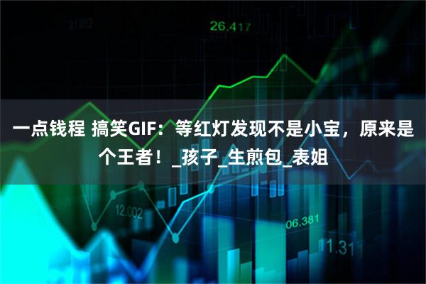 一点钱程 搞笑GIF：等红灯发现不是小宝，原来是个王者！_孩子_生煎包_表姐